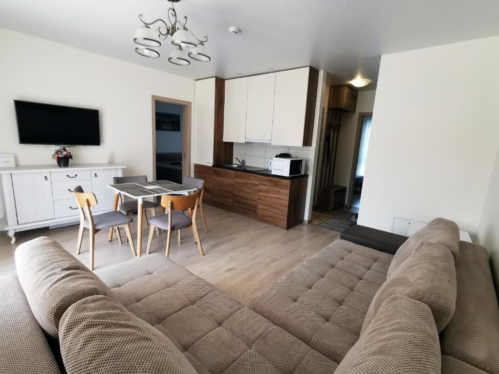 Апартаменты Scandinavian Apartment in Palanga Паланга