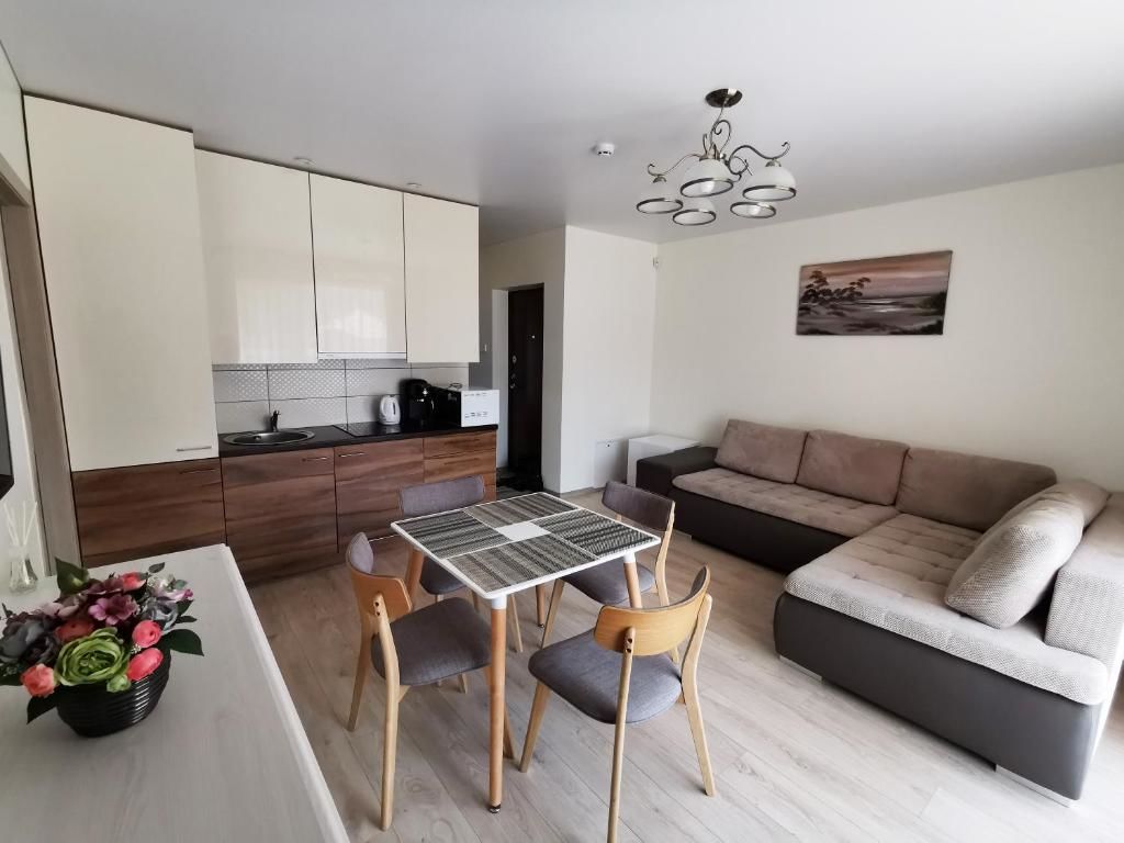 Апартаменты Scandinavian Apartment in Palanga Паланга