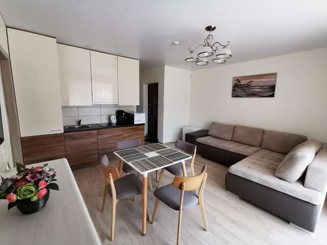 Апартаменты Scandinavian Apartment in Palanga Паланга-19